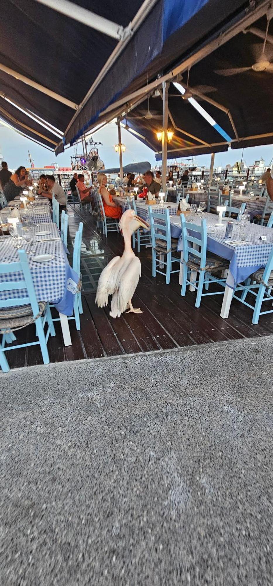 Maya Paphos Kültér fotó